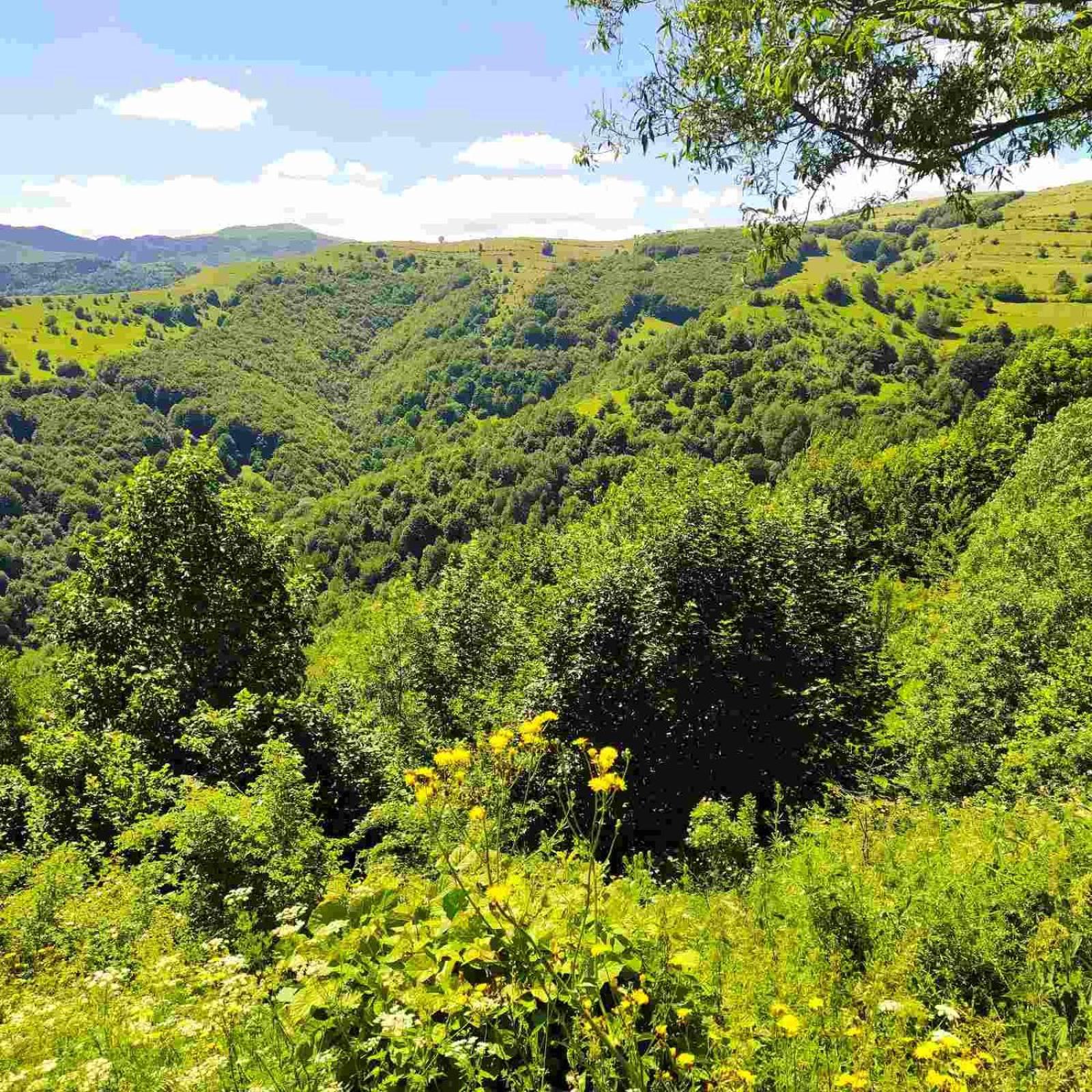 Holiday Home Vila Bjelašnica Zewnętrze zdjęcie